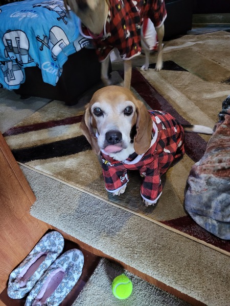 Reba