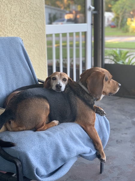 Bert & Butters