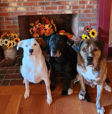 Sidney,  Jake, Sampson 