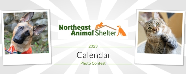 Northeast Animal Shelter | Northeast Animal Shelter Calendar Photo Contest