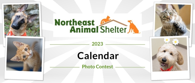 Northeast Animal Shelter | Northeast Animal Shelter Calendar Photo Contest Northeast Animal Shelter | Northeast Animal Shelter Calendar Photo Contest