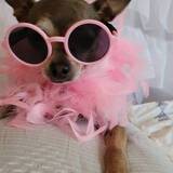 Entry image for Kiwi Thaxton