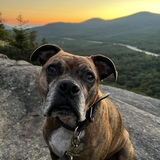 Entry image for Captain