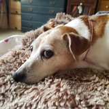 Entry image for Abby