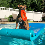 Entry image for Ember Snow