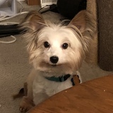 Entry image for Zeus