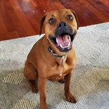 Entry image for Penny