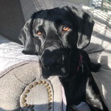 Entry image for Lilah Eleanor 