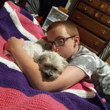 Entry image for Oreo