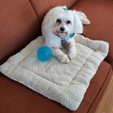 Entry image for Beela