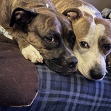 Entry image for Lucy & Jake