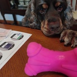 Entry image for Bailey