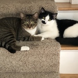 Entry image for Chloe and Zoe 