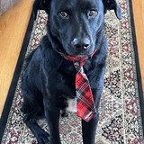 Entry image for Maxx