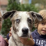 Entry image for Oliver Jamali