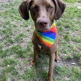 Entry image for Finley 