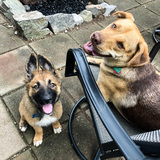 Entry image for Georgia & Chloe