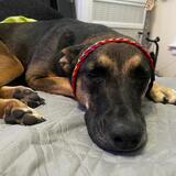 Entry image for Kika