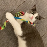 Entry image for Pluie