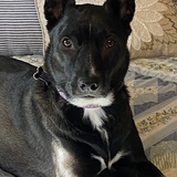 Entry image for Ella