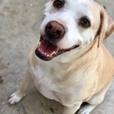 Entry image for Penny