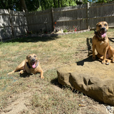 Entry image for Phoenix and Sedona