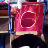 Entry image for Daisy & Blackie