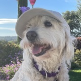 Entry image for Ellie