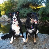 Entry image for McCoy & Montana