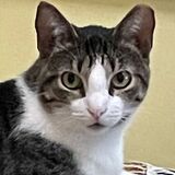 Entry image for Lucy