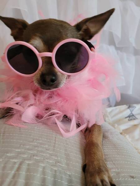 Entry image for Kiwi Thaxton. Clicking this image will show a larger photo