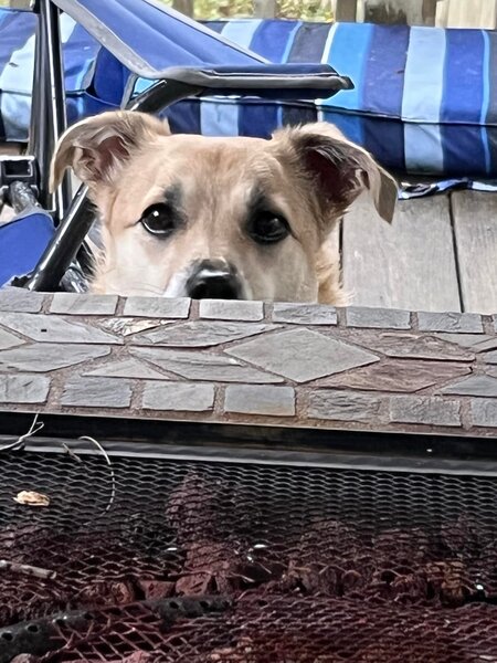 Entry image for Sofa Sofia. Clicking this image will show a larger photo