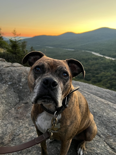 Entry image for Captain. Clicking this image will show a larger photo