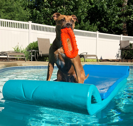 Entry image for Ember Snow. Clicking this image will show a larger photo