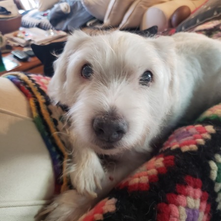 Entry image for KOZMO. Clicking this image will show a larger photo