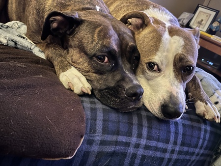 Entry image for Lucy & Jake. Clicking this image will show a larger photo