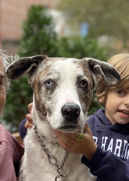 Entry image for Oliver Jamali. Clicking this image will show a larger photo