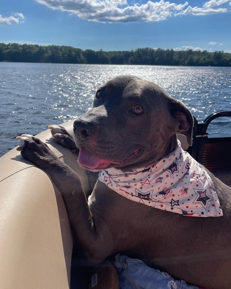 Entry image for Peeta. Clicking this image will show a larger photo