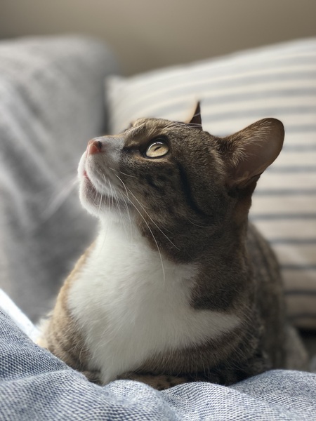 Entry image for Wes. Clicking this image will show a larger photo