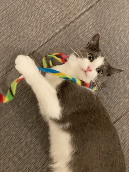 Entry image for Pluie. Clicking this image will show a larger photo