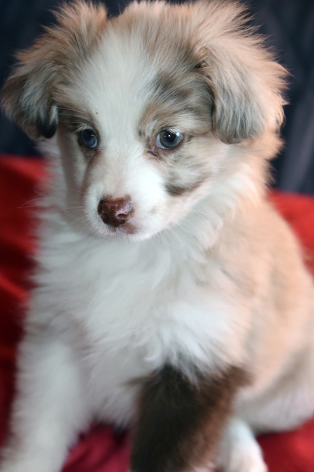 Entry image for Cady. Clicking this image will show a larger photo