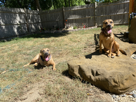 Entry image for Phoenix and Sedona. Clicking this image will show a larger photo