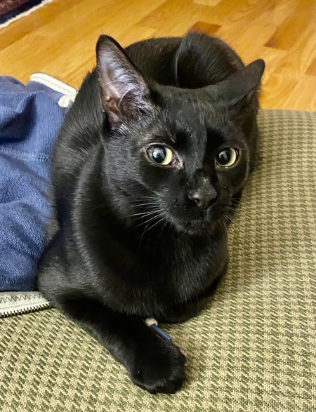 Entry image for Boo!. Clicking this image will show a larger photo