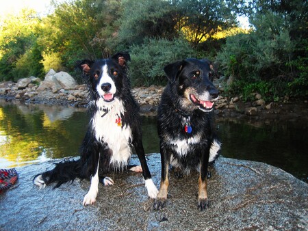 Entry image for McCoy & Montana. Clicking this image will show a larger photo