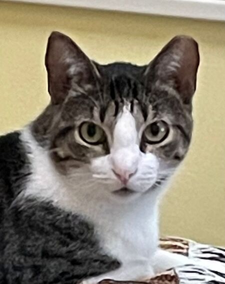 Entry image for Lucy. Clicking this image will show a larger photo