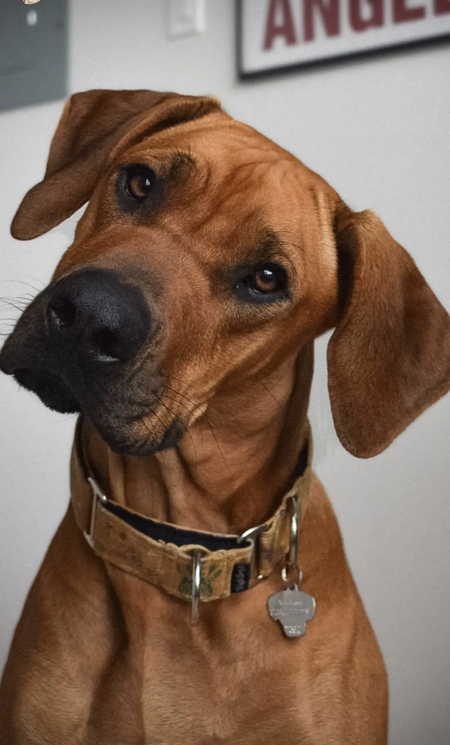 Arthur