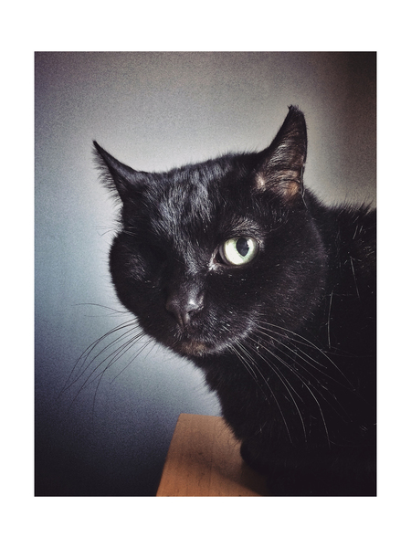Seymour