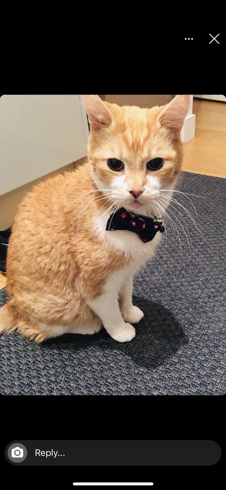Tomas