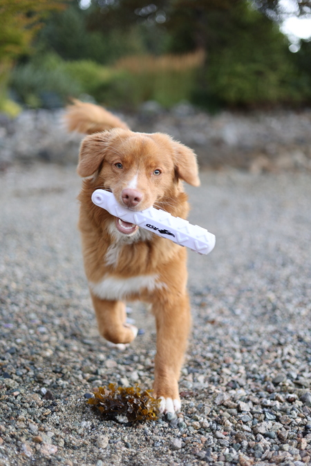 Barkley
