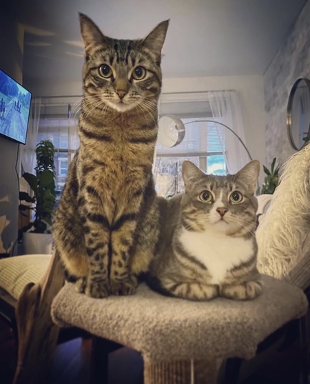 Ember&Ash